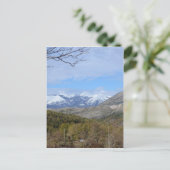 カラブリアの山 ポストカード (スタンド正面)