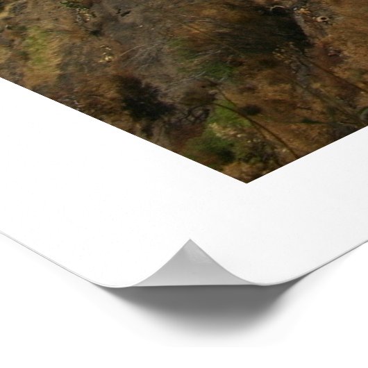 カラブリア – イタリア,アリーナ ポスター (角)