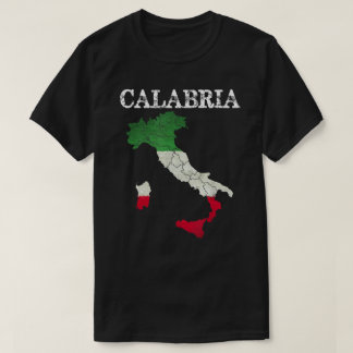 カラブリイタリア国旗のクレストイタリアイタリアンヴィンテージD Tシャツ