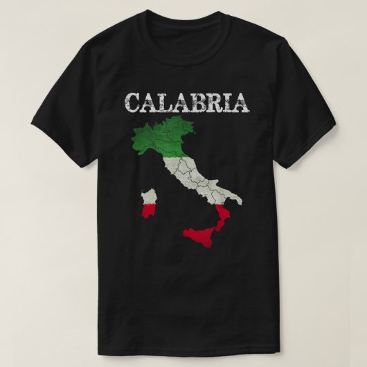 カラブリイタリア国旗のクレストイタリアイタリアンヴィンテージD Tシャツ (デザイン正面)