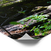 カラベラスビッグ落ちたツリー ポスター (角)