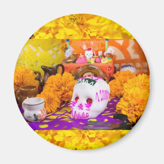 カラベリタ マグネット (正面)