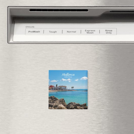 カラボナマヨルカ マグネット (インサイチュ (食洗機))