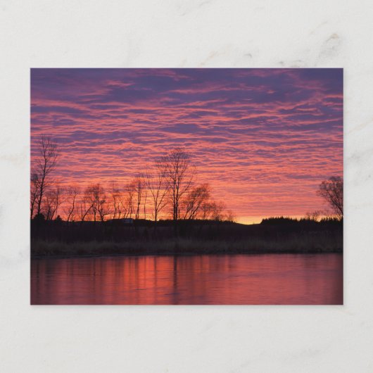 カラマス川に輝く夕日 ポストカード (正面)