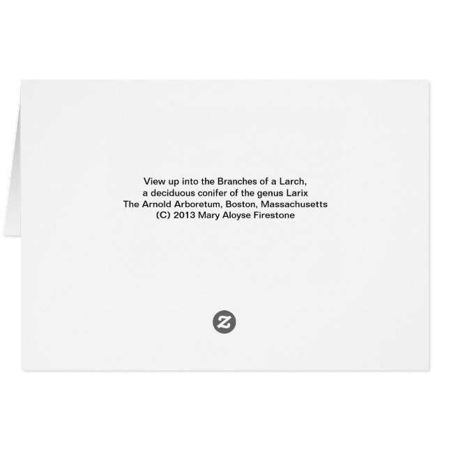 カラマツ木 (裏面横)