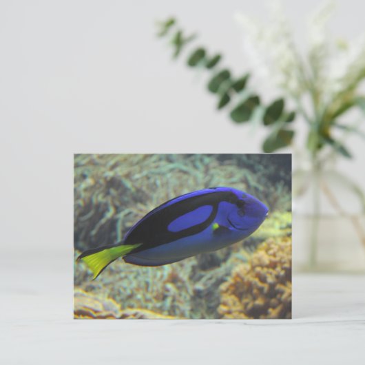 カラマツ ポストカード (スタンド正面)