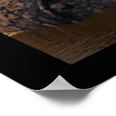 カラムシ ポスター (角)