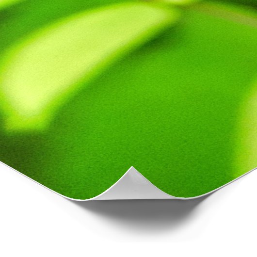 カラムボラ ポスター (角)