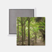 カラメアの近くのヒー・トラックのニカウパームズ マグネット (正面/裏面)