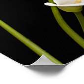 カラユリプリント ポスター (角)