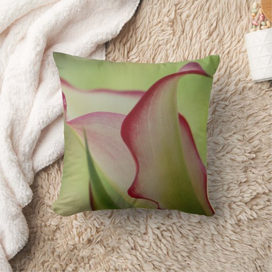 カラユリ枕 クッション (ブランケット)