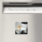 カラユリ磁石 マグネット (インサイチュ (食洗機))