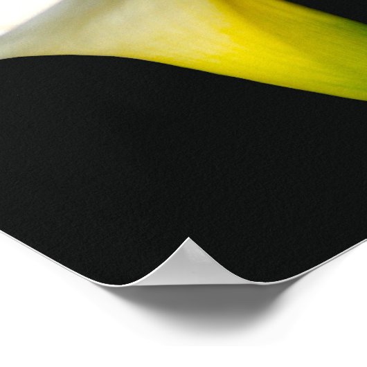 カラユリ ポスター (角)