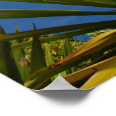 カララウカボスカンバスプリント ポスター (角)