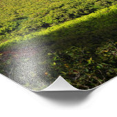 カララウバレーカウアイハワイ フォトプリント            (角)