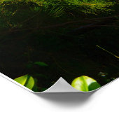 カララウ・トレイルのポスター ポスター (角)