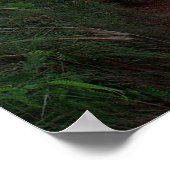 カララウ・トレイルのポスター ポスター (角)