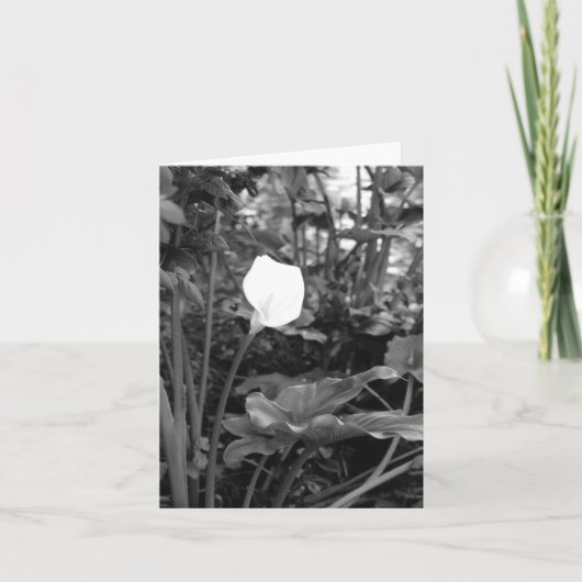 カラリリーノートカード カード (正面)