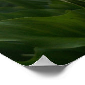 カラリリープリント ポスター (角)