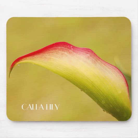 カラリリーマウスパッド マウスパッド (正面)