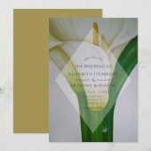 カラリリー結婚ズ 招待状 (正面/裏面)