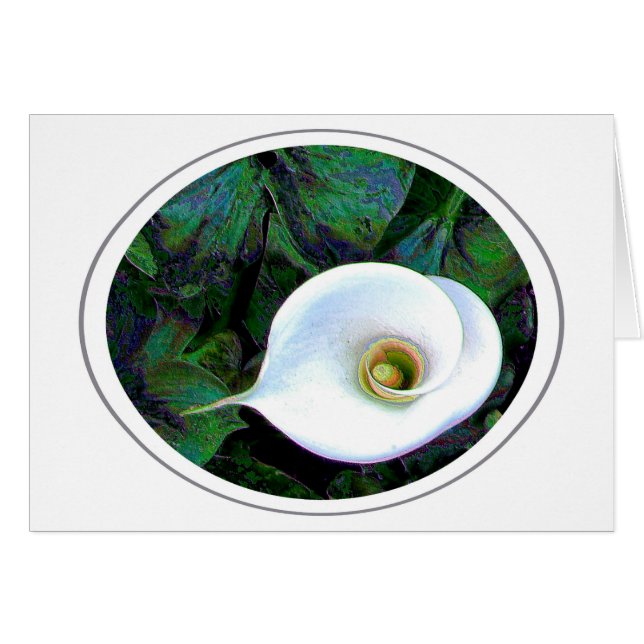 カラリリー (正面横)