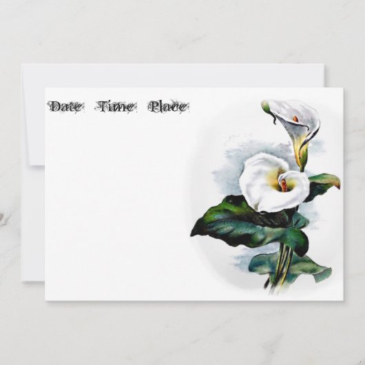 カラリリー (正面)