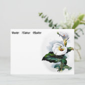 カラリリー (スタンド正面)