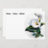 カラリリー (正面/裏面)