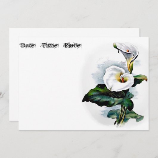 カラリリー (正面/裏面)