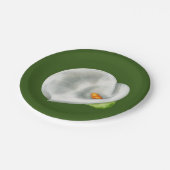 カラリリー ペーパープレート (アングル)