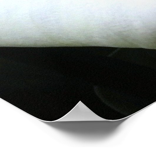 カラリリー ポスター (角)