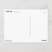 カラリリー ポストカード (裏面)