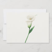 カラリリー 招待状 (裏面)