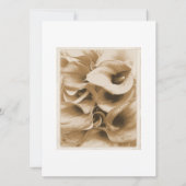 カラリリー 招待状 (裏面)