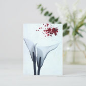 カラリリーX線 ポストカード (スタンド正面)