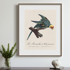 カラロゲインコ、コンウロプシス・カロリネンシス フォトプリント