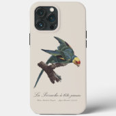 カラロゲインコ、コンウロプシス・カロリネンシス Case-Mate iPhoneケース (裏面)