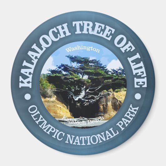 カラロチツリー・オブ・ライフ マグネット (正面)