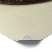 カランの王冠 ポスター (角)