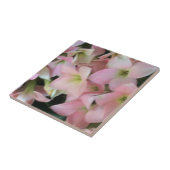 カランコエの花 タイル (側面)