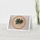 カランコエ・トメントサ 多肉植物、パンダプラント カード (正面)