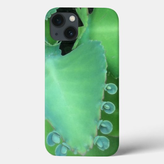 カランコエ Case-Mate iPhoneケース (裏面)