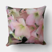 カランチョーの花 クッション (裏面)