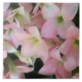 カランチョーの花 タイル (正面)