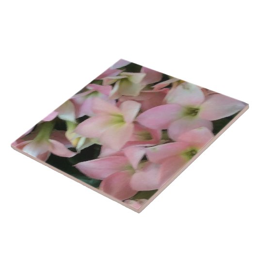 カランチョーの花 タイル (側面)