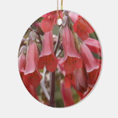 カランチョーツビフローラ セラミックオーナメント (左)