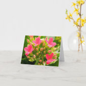 カランチョーブロスフェルディアナ カード (黄色い花)