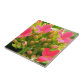 カランチョーブロスフェルディアナ タイル (側面)