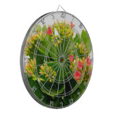 カランチョーブロスフェルディアナ ダーツボード (正面左)